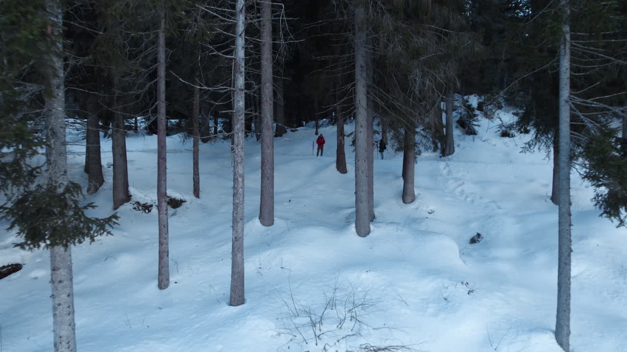 vuelo aéreo hacia atrás entre árboles en laderas cubiertas de nieve profunda con el operador a la vista