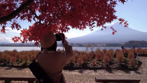 Rückseite-Der-Stilvollen-Frau,-Die-Herbstfarben-Und-Den-Berg-Fuji-Fotografiert