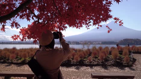 back of stylish female taking pictures of autumn colors and mount fuji