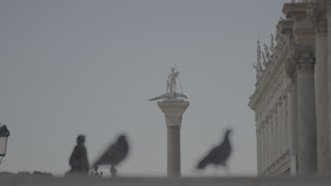 statue and column in venice