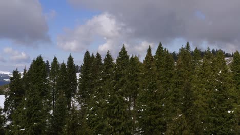 Aerial-view-of-Kolitza-Mount-Snowy-peak-surrounded-by-lush-Pine-tree-forest,-Cloudy-day