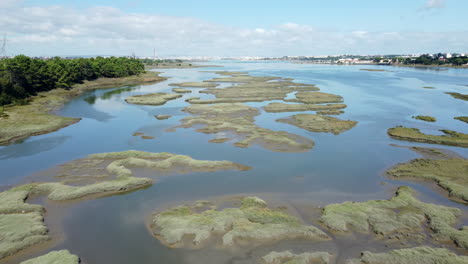 panoramic view over swamps and wetlands at daytime - aerial drone shot