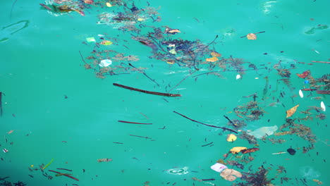 Top-down-shot-of-Environmental-disaster-concept-with-swimming-rubbish-in-Koh-Phangan,-Thailand