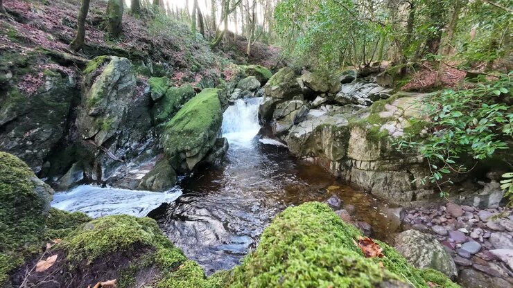 Comeragh Dağları, Waterford, İrlanda'daki kaya havuzunda hızlandırılmış şelale ve girdap oluşturan su.