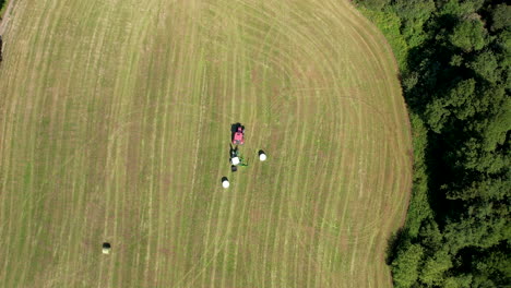 Maquinaria-Agrícola-En-Un-Vasto-Campo-Verde,-Tractor-Y-Máquina-De-Fardos-De-Heno-Girando-En-Tierras-Agrícolas,-Vista-Aérea-De-Arriba-Hacia-Abajo-A-Gran-Altitud-Del-Trabajo-Agrícola-Agrícola