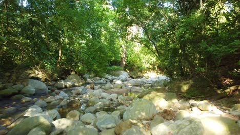 Rocky-river-bottom-adventure-forward-view