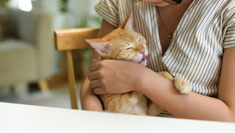 mulher acariciando um gato