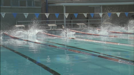 women compete in a swimming competition