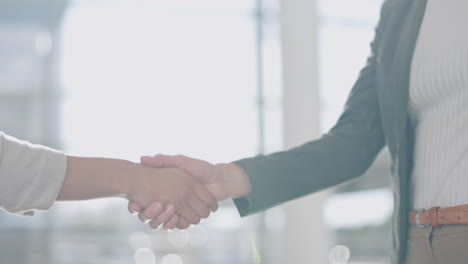 closeup, handshake and office for agreement