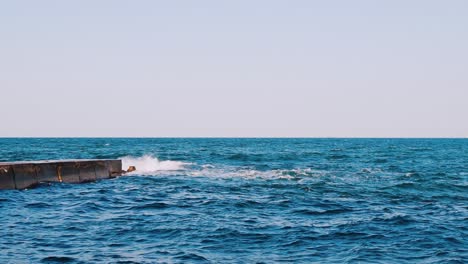 breaking sea wave. seascape with wide horizon of the sky and the sea