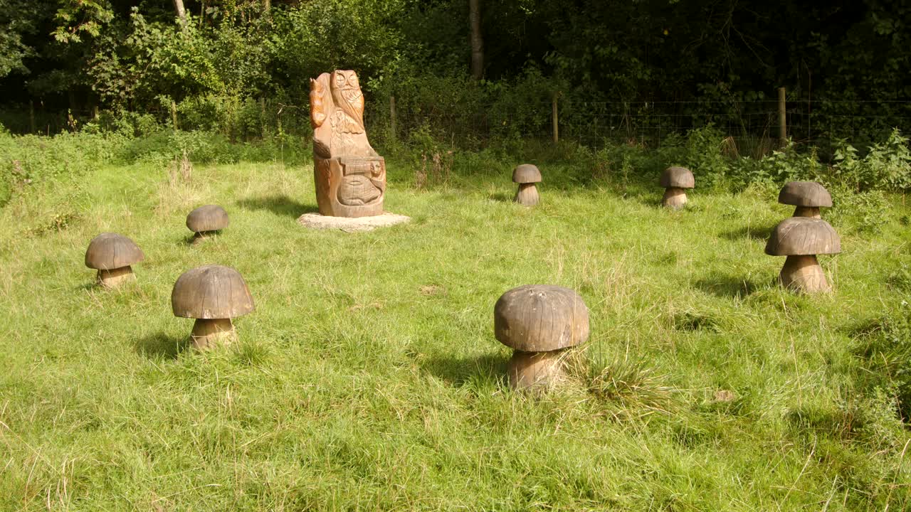 Wooden carved seats and wooden mushroom seats on the Carsington water dam from the dam trail