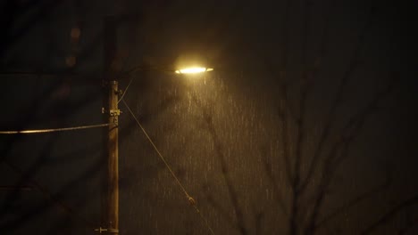 rain pouring down under a streetlight. evening