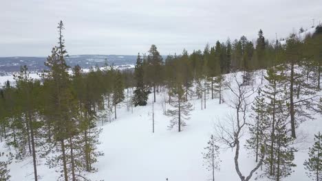 winter views from ounasvaara hill and ski center at rovaniemi