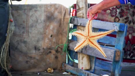 toma en cámara lenta de pescadores sosteniendo una estrella de mar para arrojarla al océano