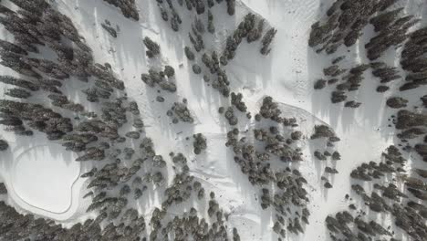 A-top-down-look-on-a-skiing-area