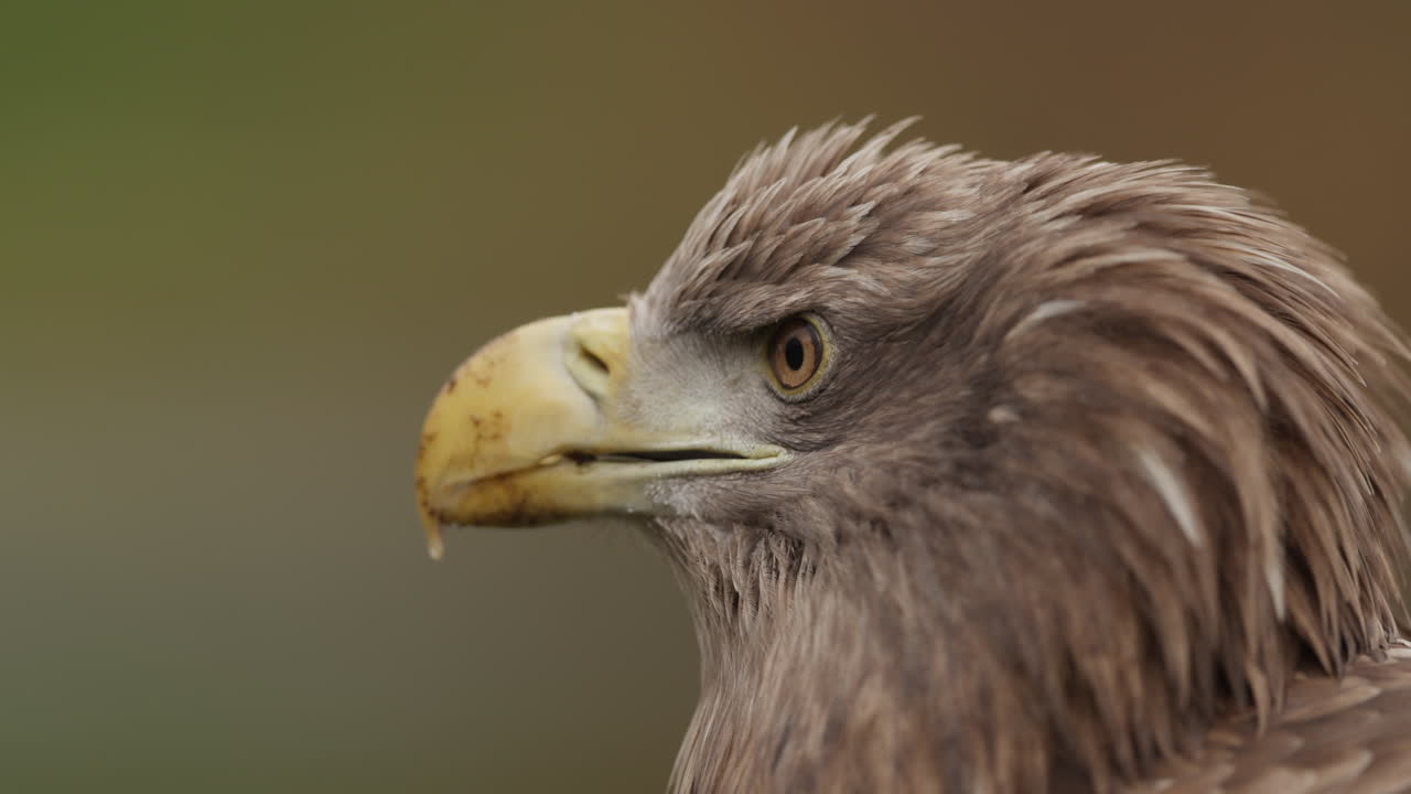 Fondo degradado y desenfocado