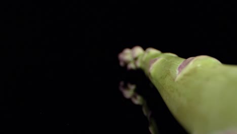 fresh asparagus green high quality healthy vegetable super macro close up hq  shoot