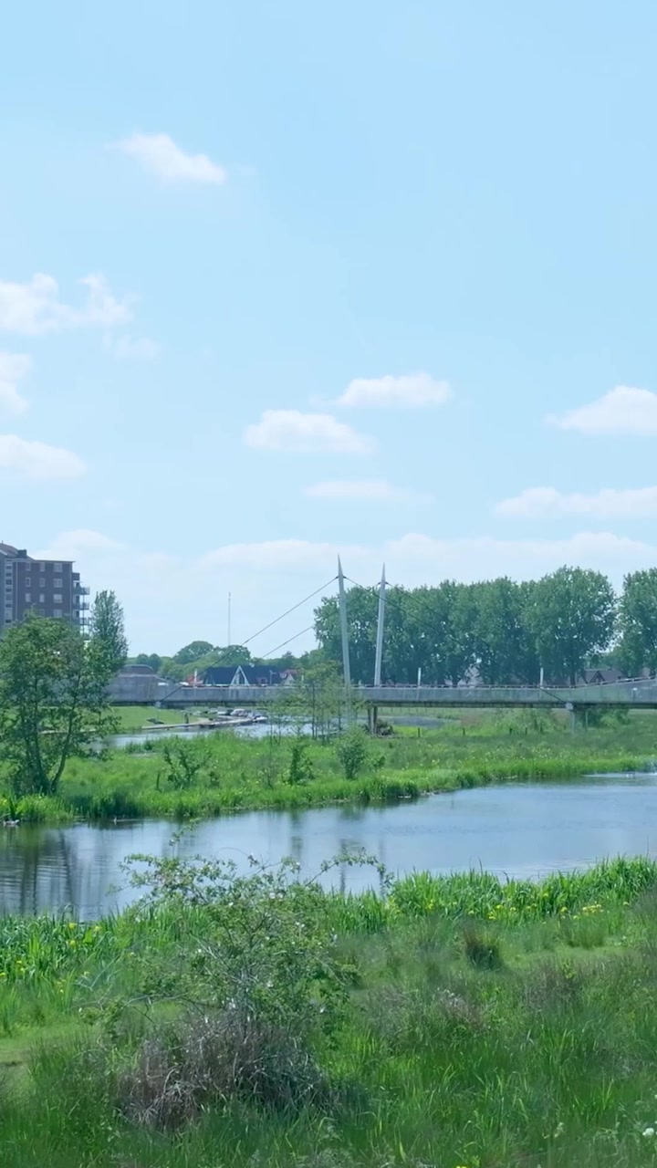 ทิวทัศน์ที่สวยงามของแม่น้ำที่สงบและสะพานที่ทันสมัยในสวนสาธารณะสีเขียว