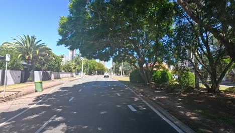 a drive through a tree-lined urban street