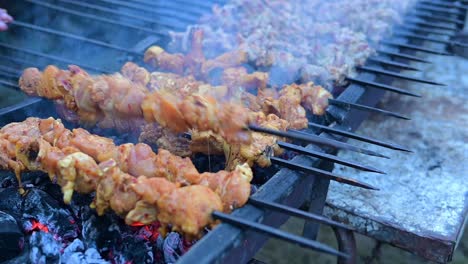 cooking chicken and meat on an open fire bbq