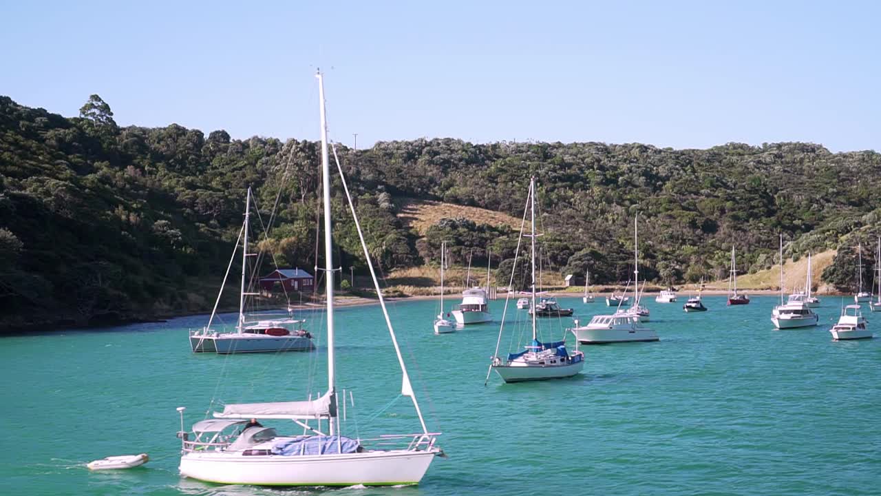 cámara lenta: toma en movimiento de muchos yates y veleros anclados en la bahía con agua turquesa en la isla waiheke, nueva zelanda