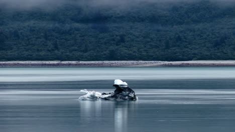 Big-chunk-of-ice-floating-in-the-waters-of-Glacier-Bay-National-Park,-Alaska