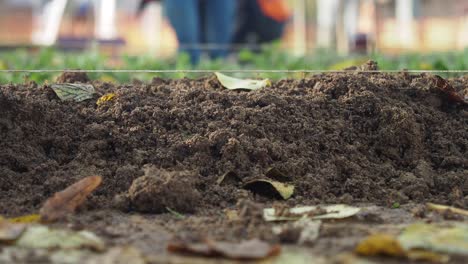 close-up of a soil mound with blurred people working in the background