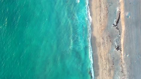 Tropische-Florida-strandantenne,-Die-Gerade-Nach-Unten-Schaut