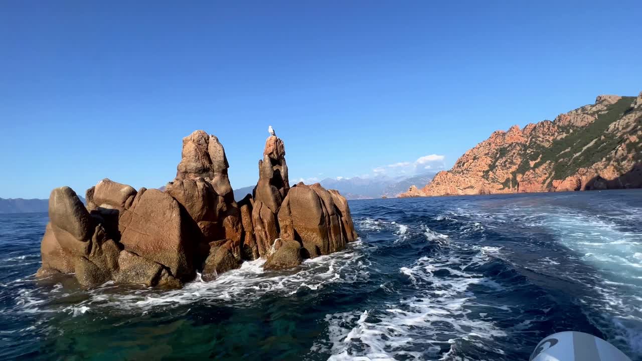 바다 한가운데의 calanques de piana의 바위 위에 앉아있는 바다표범, 프랑스의 코르시카 섬에서 움직이는 배를 볼 수 있습니다.