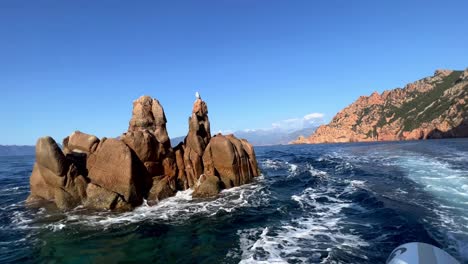 gaviota posada en las rocas de calanques de piana en medio del mar visto en movimiento barco, corsica isla de francia