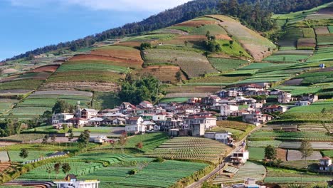 Breathtaking aerial view of scenic rural village nestled in terraced hills, showcasing lush green farmlands and traditional countryside homes under a clear blue sky