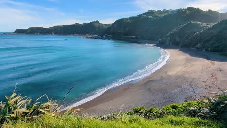 hermosa vista del paisaje de la playa de breaker bay con agua turquesa del océano y olas en la ciudad capital de wellington, nueva zelanda aotearoa