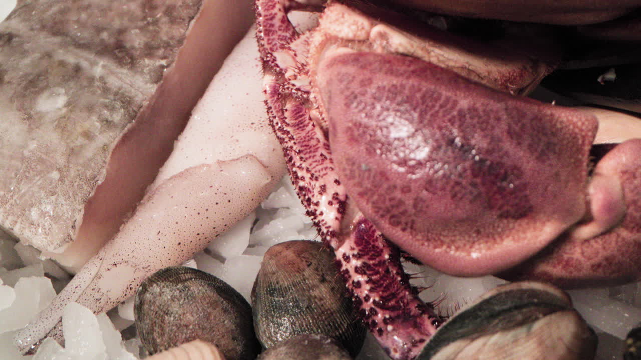 cangrejo rojo se mueve junto a los calamares y almejas