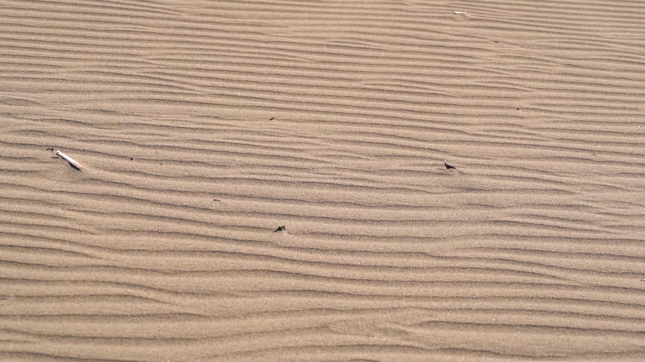Wind Blowing Sand Across Desert Dunes