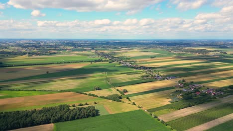 aerial view with the landscape geometry texture of a lot of agriculture fields with different plants like rapeseed in blooming season and green wheat