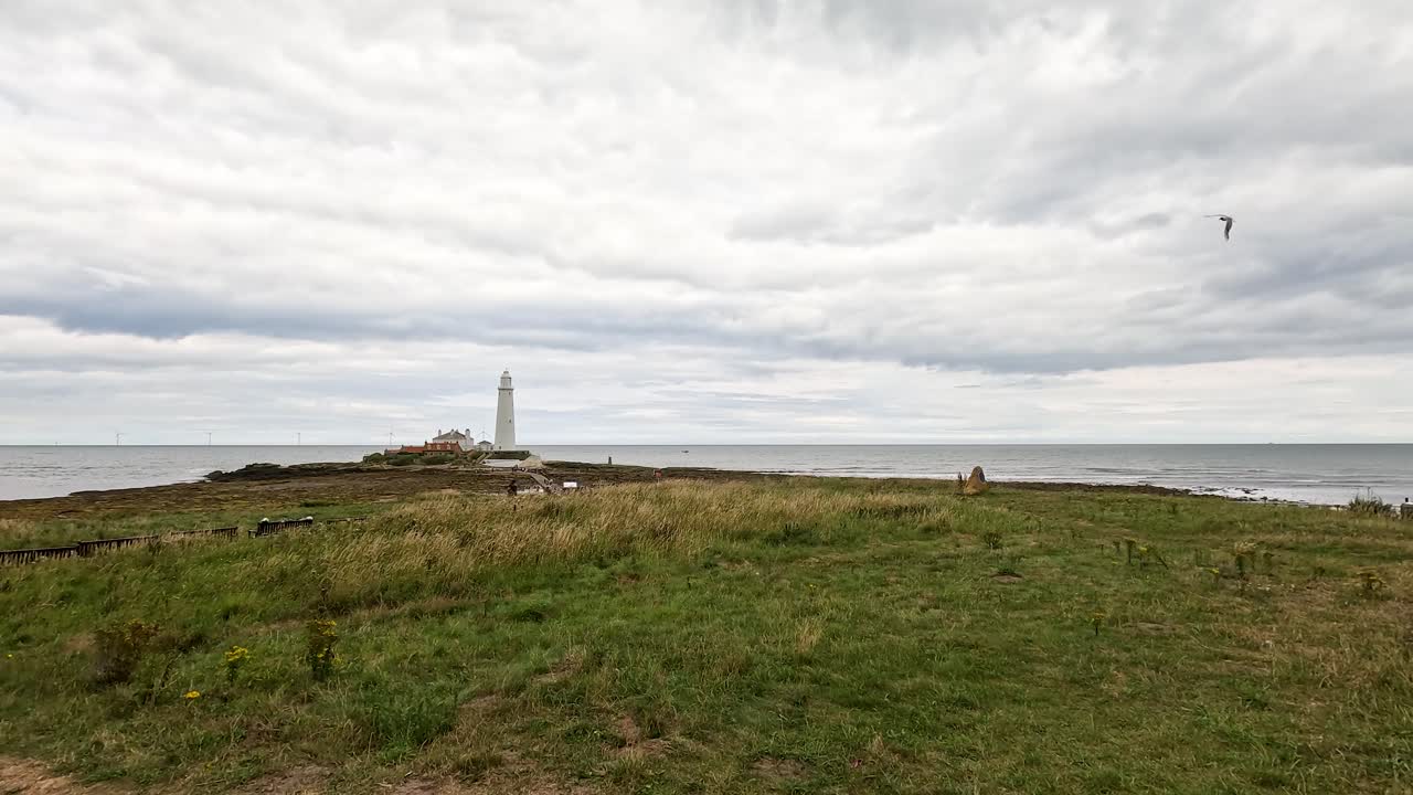 A stationary wide-angle view captures a distant lighthouse on a rocky coastline under overcast skies, with grassy foreground and subtle bird movement