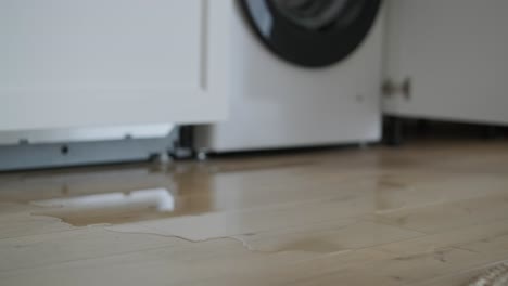 puddle of water on wooden floor from an open dishwasher in a sunlit kitchen, signaling a domestic mishap