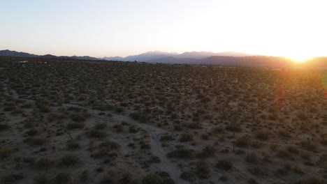 Aerial-drone-dolly-out-shot-at-Joshua-Tree-during-sunset