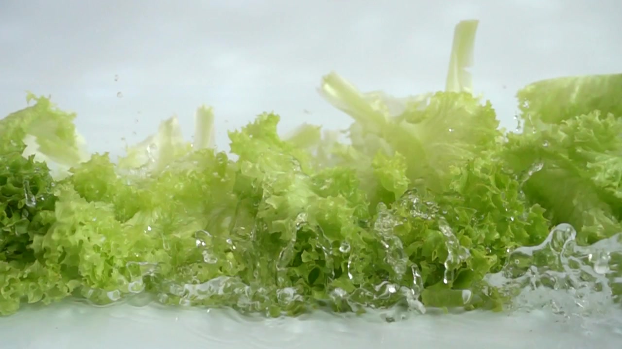 Washing of lettuce leaves. Slow motion.