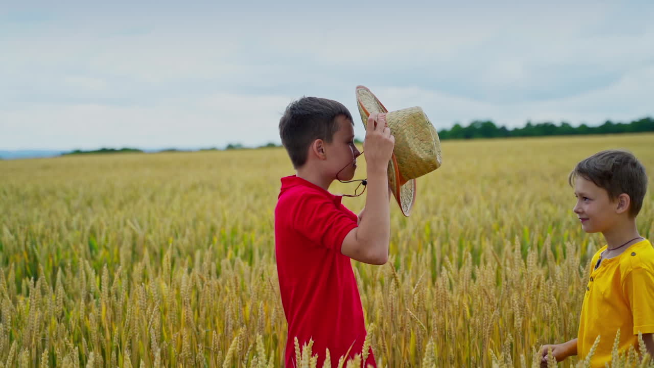 Boys on yellow field in summer day. Teenage boy gives his straw hat to the younger brother. Happy children in agricultural land. Slow motion.