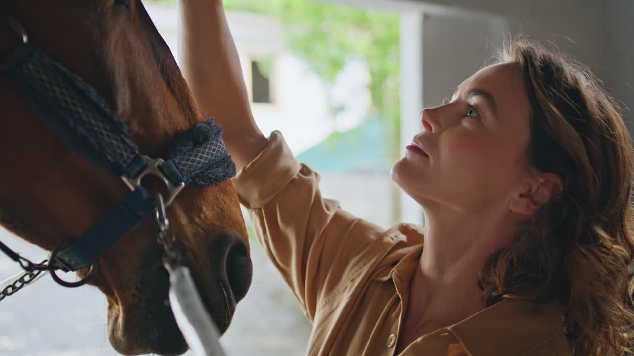 Affectionate horsewoman petting animal in barn closeup. Lady horse loving moment