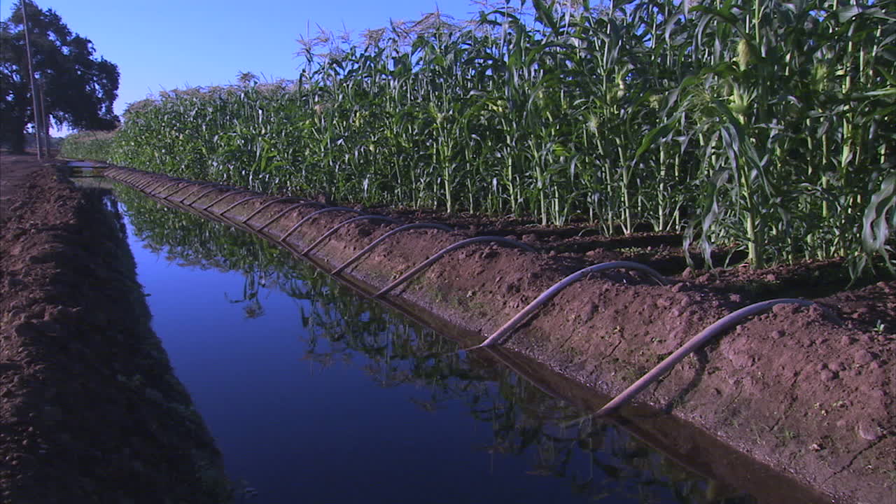 los agricultores de california necesitan agua durante una sequía