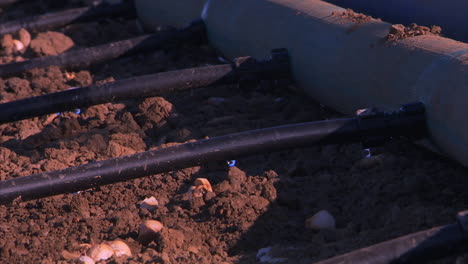 california farmers require water during a drought