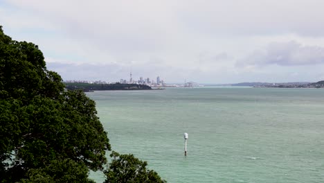 view of downtown auckland and sky tower from achilles point