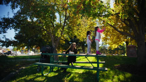 picnic familiar en el parque