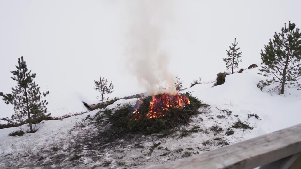 겨울 에 눈 속 에 불타는 소나무 가지 들