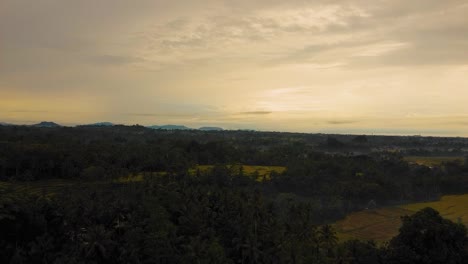 Increíbles-Filmaciones-Cinematográficas-De-Ubud,-Drones-De-Bali-Con-Un-Amanecer-Exótico,-Pequeñas-Granjas-Y-Plantaciones-Agroforestales