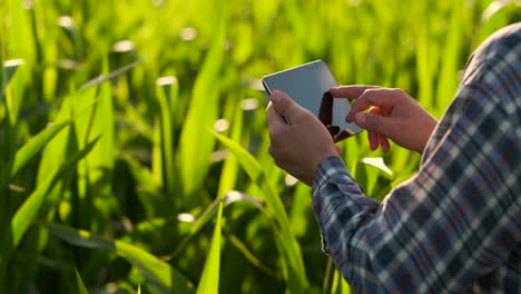 Close-up-of-lens-flare:-farmer's-Hands-holding-a-tablet-computer-and-touch-and-inspect-the-leaves-of-the-shoots-of-the-future-crop-sending-agronomists-to-study-the-gene-of-modified-products.-Preparation-of-products-for-growing-on-Mars.