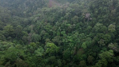 Cinematic-scene-of-drone-exiting-clouds-to-reveal-Rainforest-Jungle-Landscape-Background-Texture-Cloudy-Weather-in-Sumbawa-island,-Indonesia