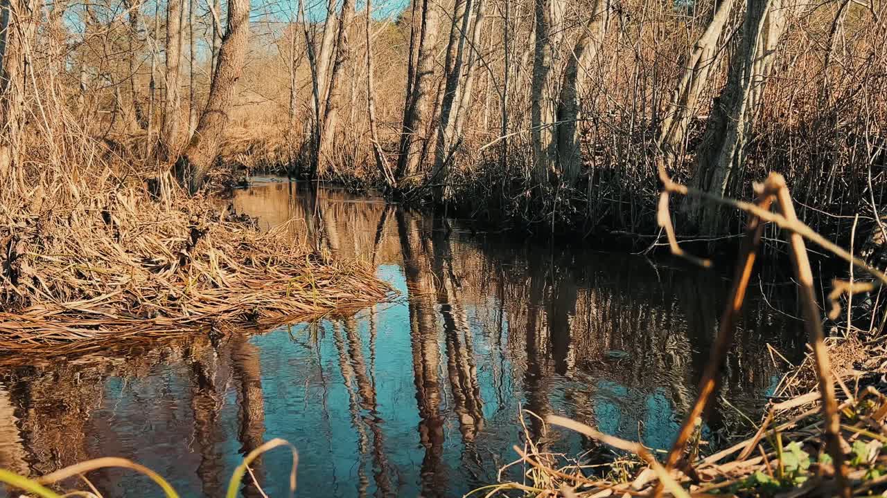 Naturskøn udsigt til en rolig flod, der snor sig gennem en løvskov i det tidlige forår. Egnet til miljødokumentarer, regionale turismeannoncer og økologiske forskningspræsentationer.
